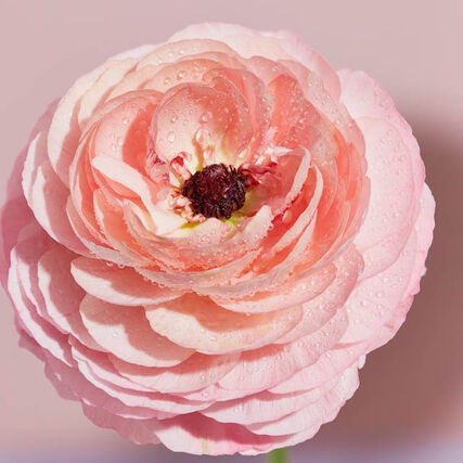 Как наносить порошковую краску 5