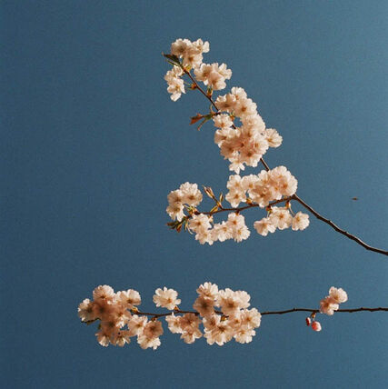 Как наносить порошковую краску 12