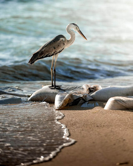 Как наносить порошковую краску 24