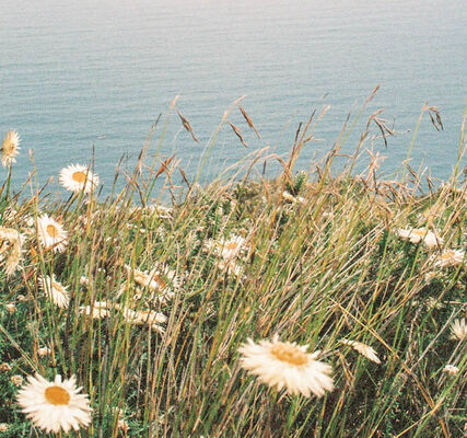 Как наносить порошковую краску 27