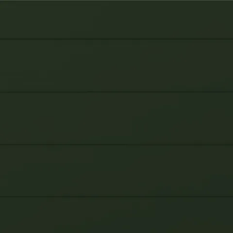 RAL 6007 Муар 10569