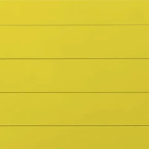 RAL 1018 Гладкий Глянец 10081