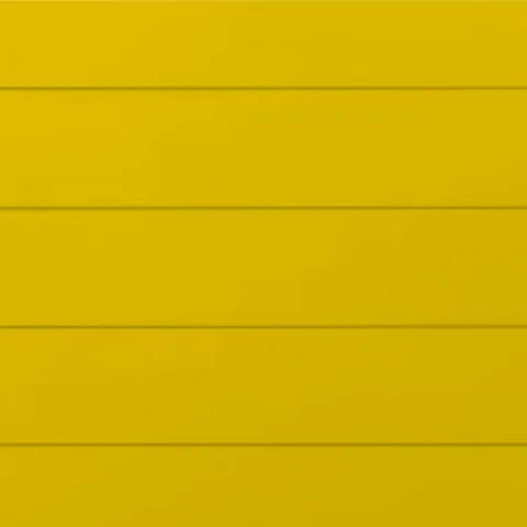 RAL 1023 Гладкий Мат 10102