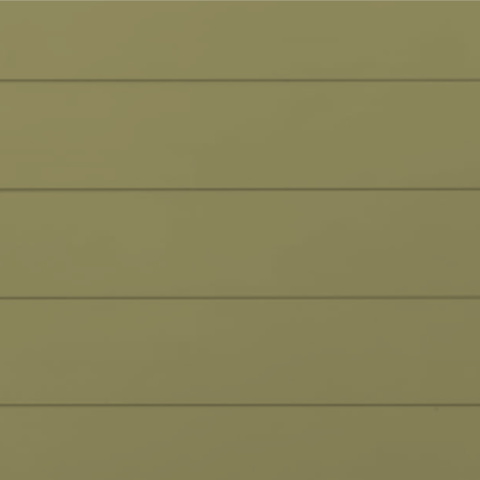 RAL 1020 Гладкая глянцевая 29-29020-1