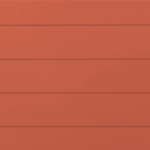 RAL 2012 Гладкая глянцевая 29-28012-1