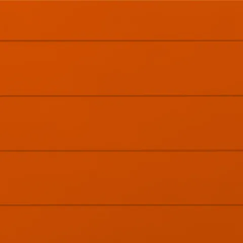 RAL 2009 Гладкий Глянец 10201