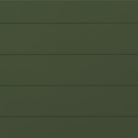 RAL 6003 Гладкая глянцевая 29-59003-1