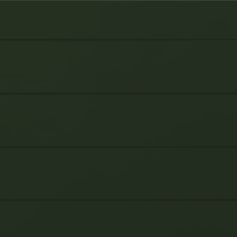 RAL 6007 Гладкая глянцевая 29-59007-1