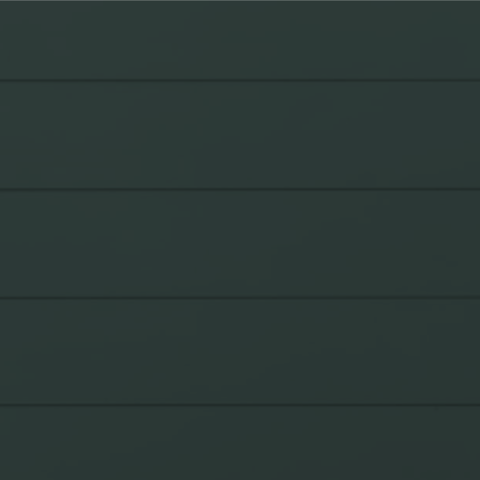 RAL 6012 Гладкая глянцевая 29-59012-1