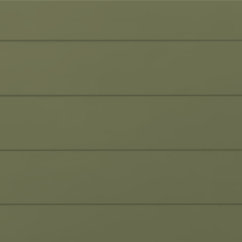 RAL 6013 Гладкая глянцевая 29-59013-1