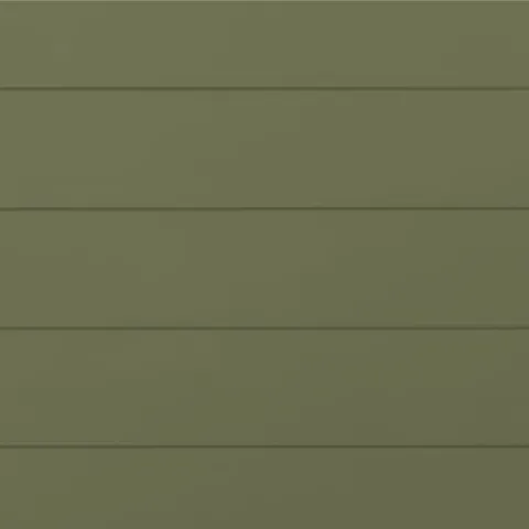 RAL 6013 Гладкий Глянец 10596