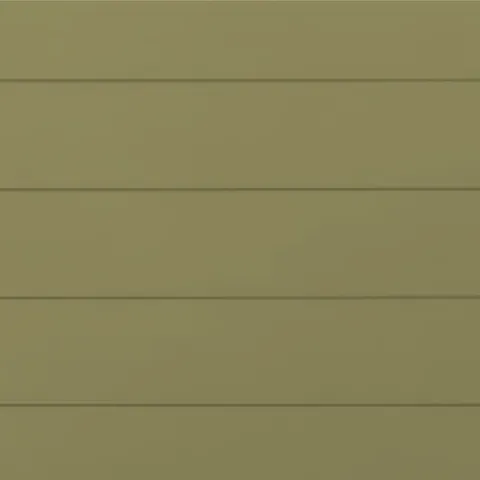 RAL 1020 Гладкий Мат 10092